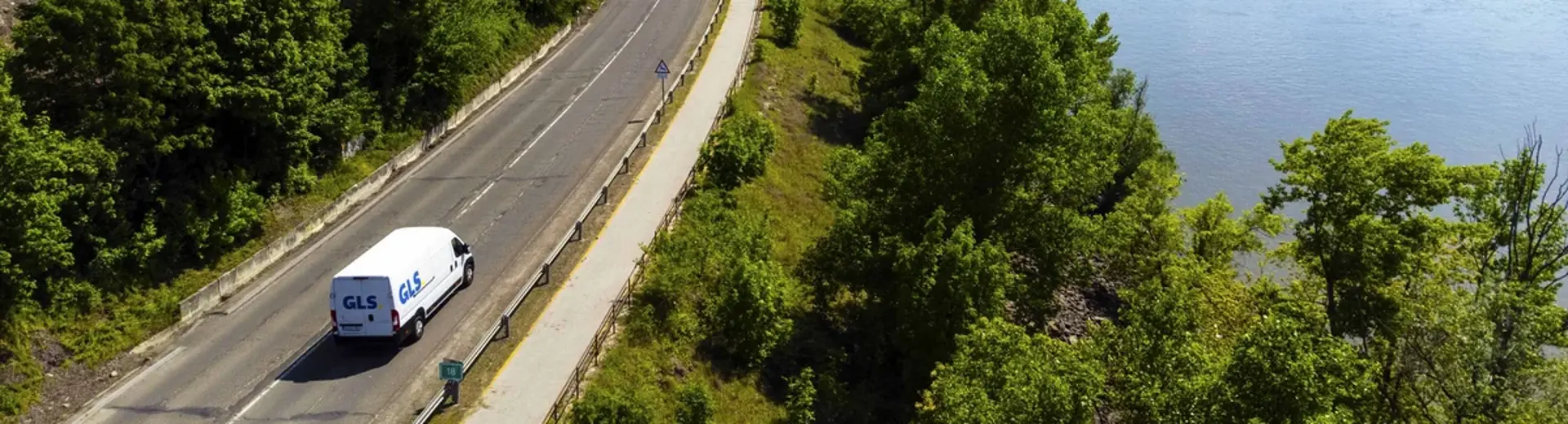 masina electrica in natura